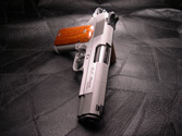 SmShotOne2459
