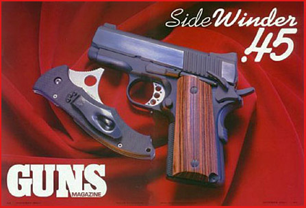 Sidewinder10